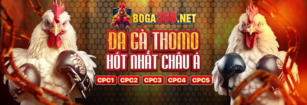 Cá cược quần vợt tại bet168 casino